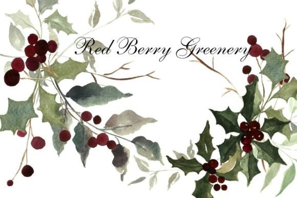 Review: Watercolor Christmas Holly Illustrations